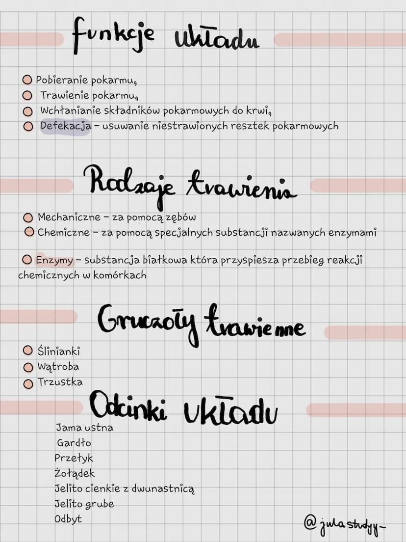 Układ Pokarmory
@jula studyy- Jama ustna
Pierwszy odcinek układu pokarmowego otoczony
wargami. Zachodzi trawienie mechaniczne oraz
chemiczne
