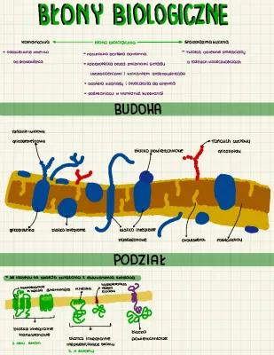 Know Błony biologiczne thumbnail