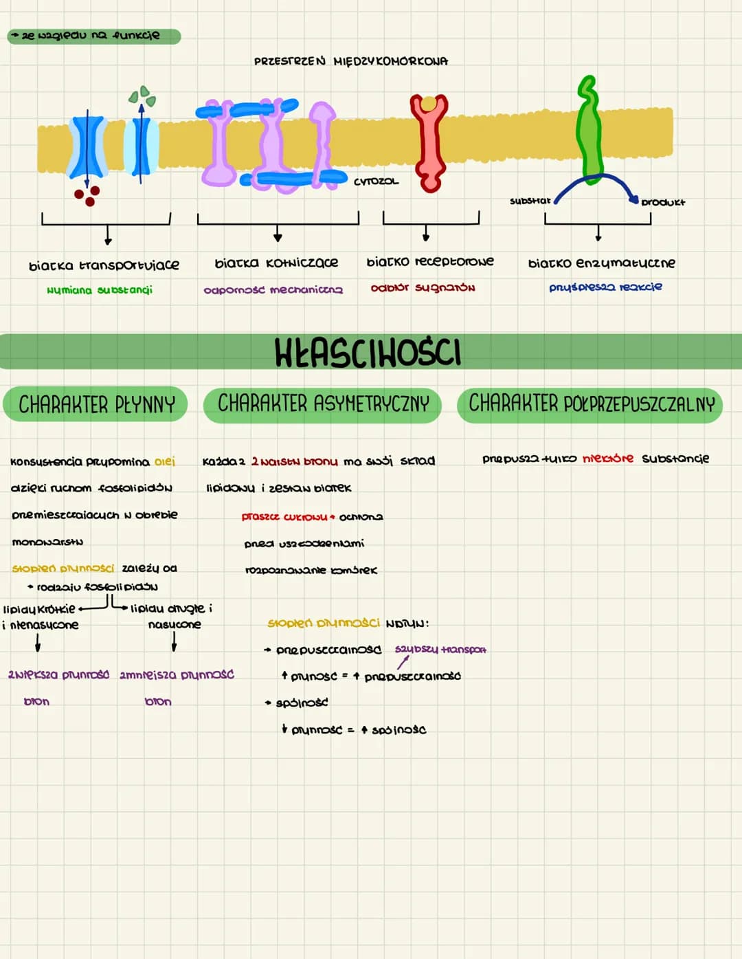 KOMÓRKONG +
BŁONY BIOLOGICZNE
oddzielanie wnętra
oa Środowiska
Tańcuch cukrONY
glikoproteinony
glikoproteina
huchrofobou
23
Khalisa Bharmoni