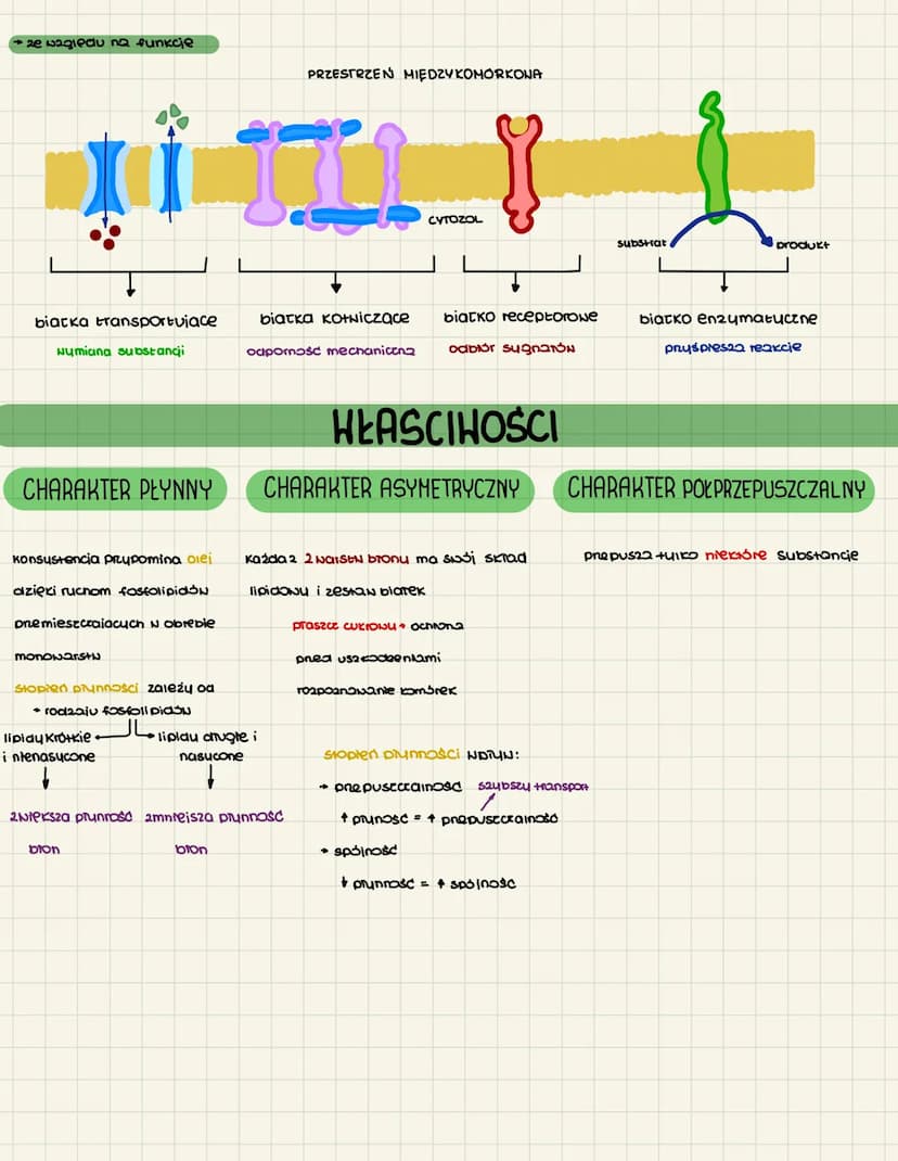 KOMÓRKONG +
BŁONY BIOLOGICZNE
oddzielanie wnętra
oa Środowiska
Tańcuch cukrONY
glikoproteinony
glikoproteina
huchrofobou
23
Khalisa Bharmoni