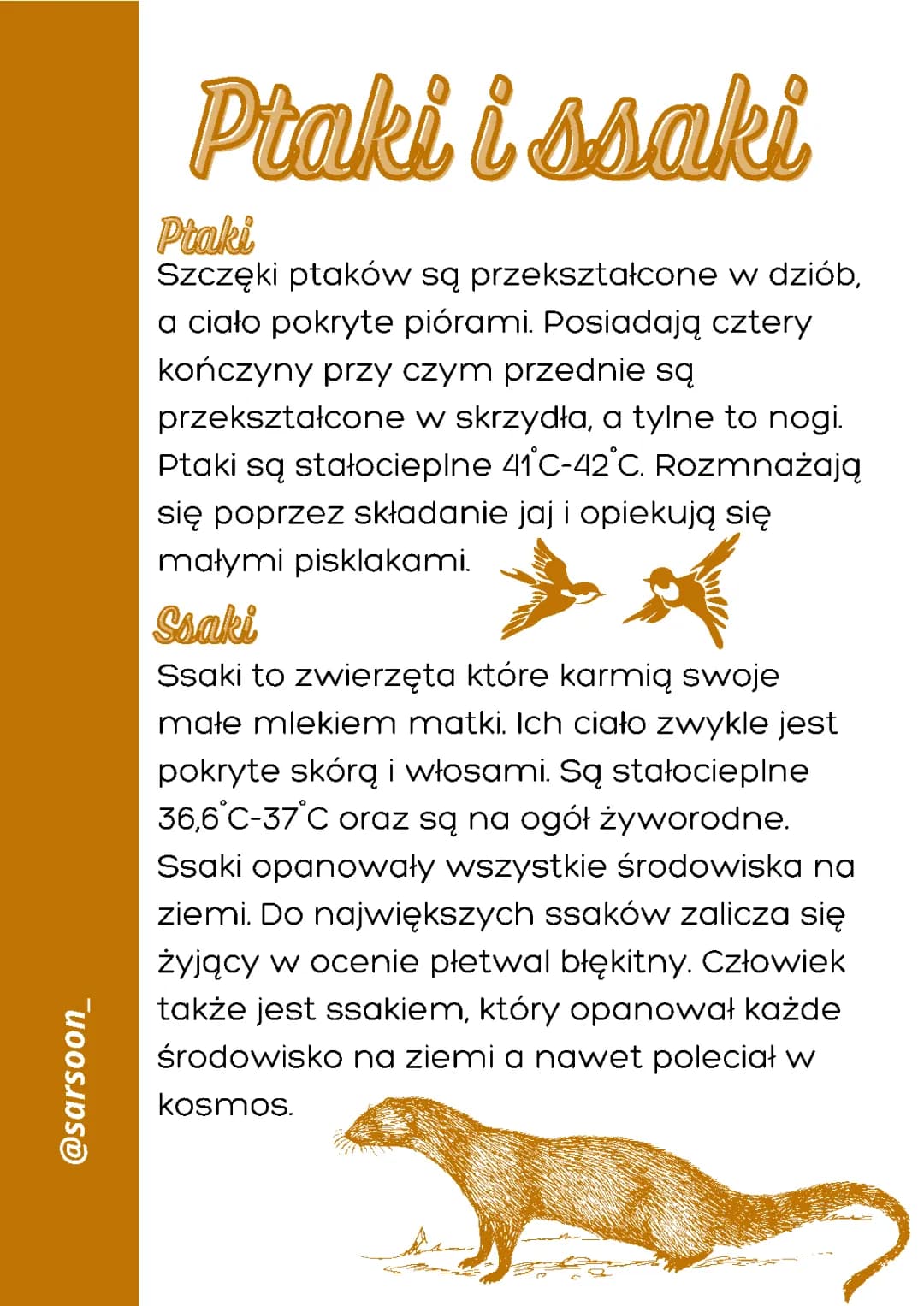 Czy ptaki to ssaki? Cechy ptaków i ssaków dla klasy 2