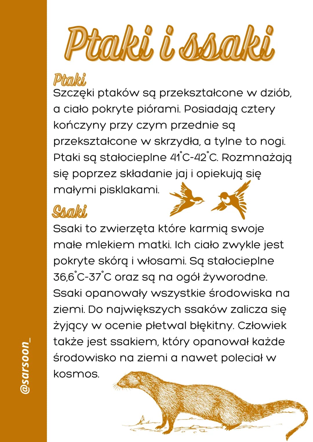 @sarsoon_
Ptaki i ssaki
Ptaki
Szczęki ptaków są przekształcone w dziób,
a ciało pokryte piórami. Posiadają cztery
kończyny przy czym przedni