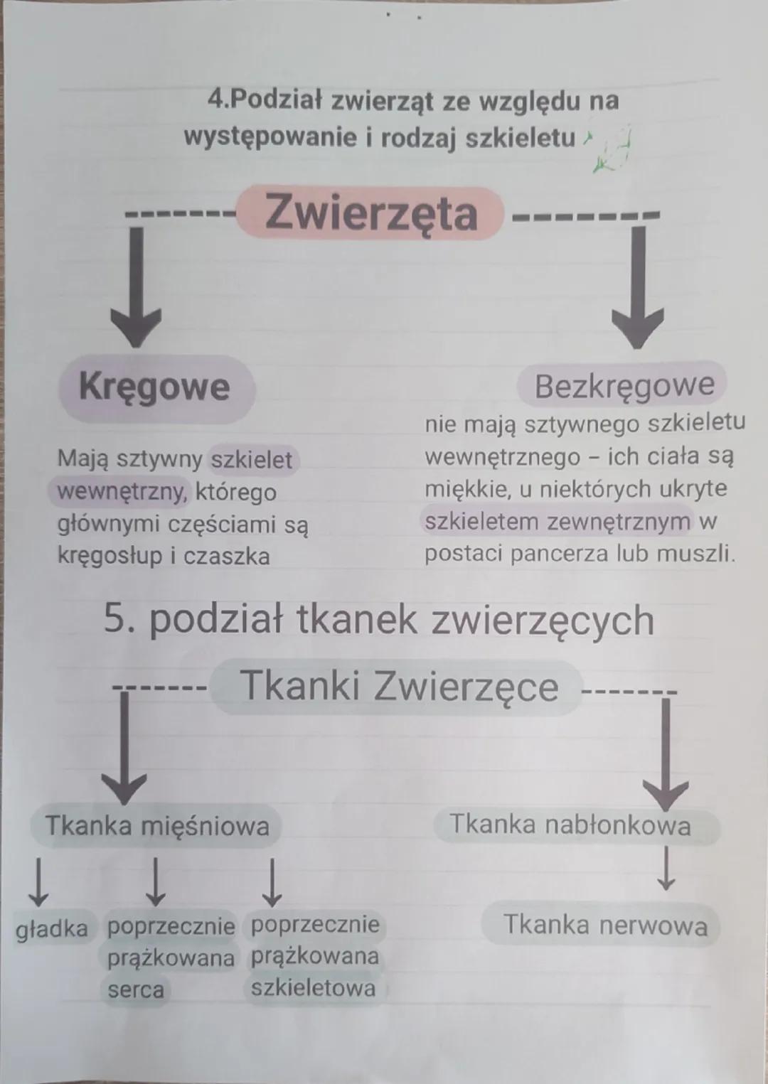 -
Biologia
1.Wspólne cechy zwierząt
Są organizmami cudzożywnymi
-Są organizmami wielokomórkowymi
- są zbudowane z komórek jądrowych, które
n