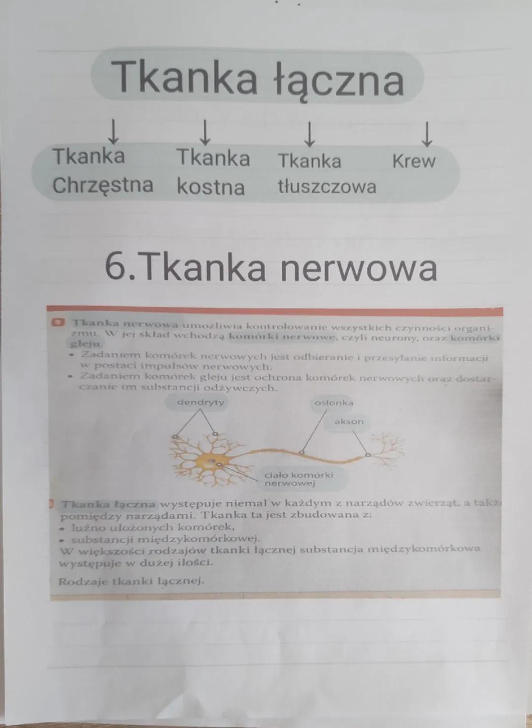 -
Biologia
1.Wspólne cechy zwierząt
Są organizmami cudzożywnymi
-Są organizmami wielokomórkowymi
- są zbudowane z komórek jądrowych, które
n
