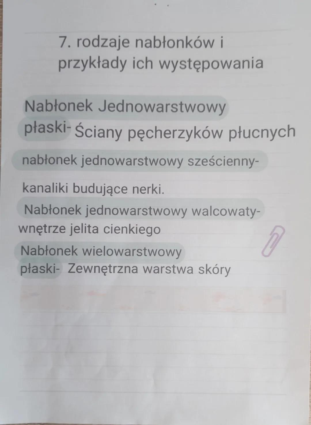 -
Biologia
1.Wspólne cechy zwierząt
Są organizmami cudzożywnymi
-Są organizmami wielokomórkowymi
- są zbudowane z komórek jądrowych, które
n