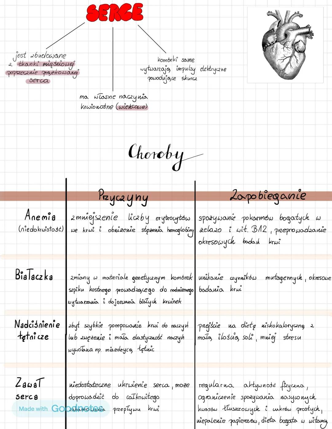 KREW
UKŁAD KRĄZENIA
LIMFATYCZNY
• 2budowany jest 2 :
→ limfy krozacej
>
W
naczyniach limfatycznych
sapiku kostnego wytwarzającego
elementy m
