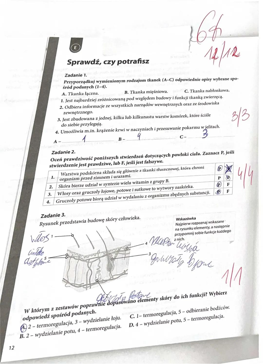 Test z biologii klasa 7: Puls Życia, Nowa Era, Tkanki i Skóra