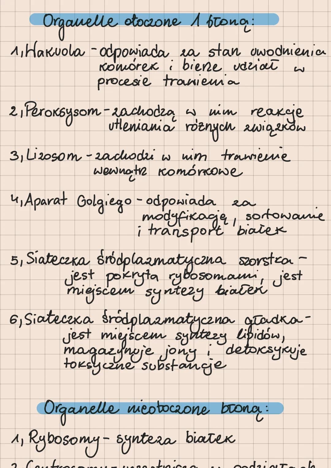 11 Organizmy jednokomórkowe:
bakterie
protisty
∙gnyby
• rośliny pierwotnie wodne
21 Formy Kolonijne.
baktene
Protisty
31 Organizmy wielokomo