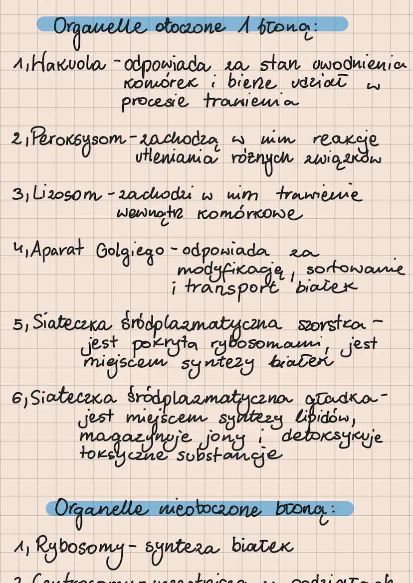11 Organizmy jednokomórkowe:
bakterie
protisty
∙gnyby
• rośliny pierwotnie wodne
21 Formy Kolonijne.
baktene
Protisty
31 Organizmy wielokomo