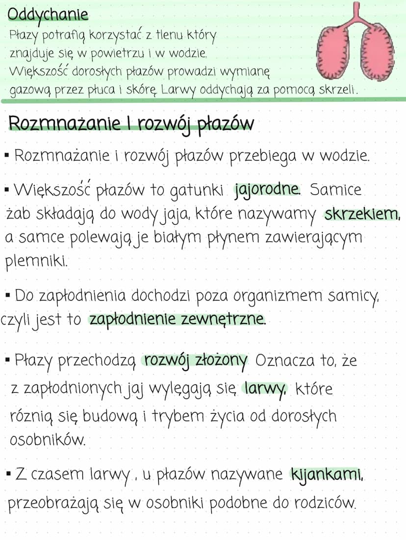 PŁAZY
kręgowce wodno- lądowe
Środowisko
zycia
▪ Większość płazów to zwierzęta dwuśrodowiskowe.
Oznacza to, że przez całe zycie zamieszkują o
