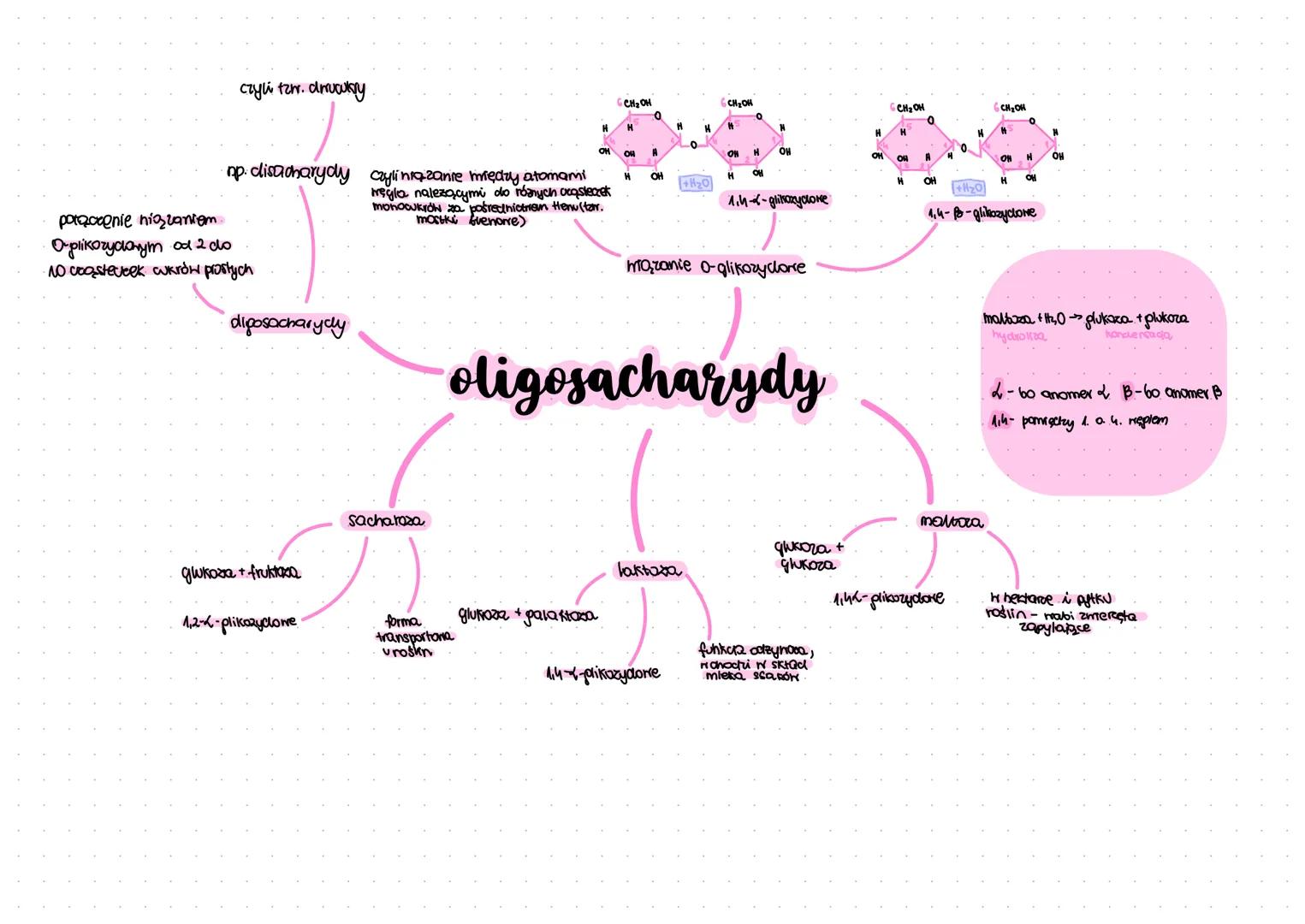 osmotycznie
od 3 do7 crynne
жеди
kilka grip nycrossylorych
(OH) i jedną karbonyloną
(CHO lub-co-)
element
buckbony
laktozy
grupa aldehydona
