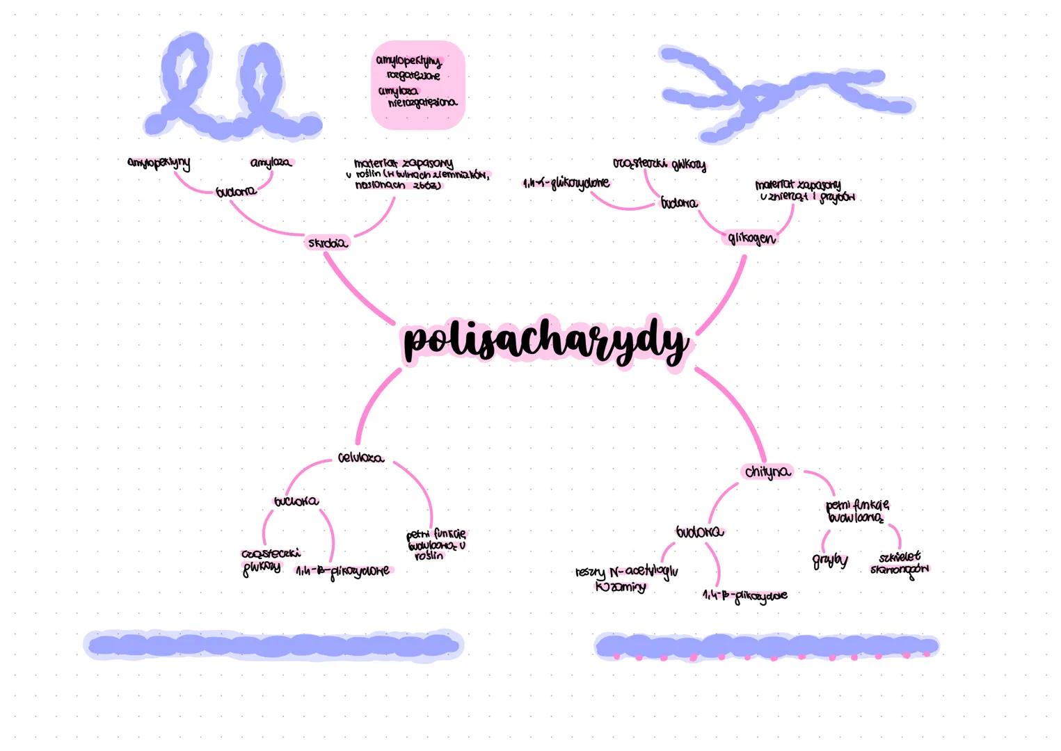 osmotycznie
od 3 do7 crynne
жеди
kilka grip nycrossylorych
(OH) i jedną karbonyloną
(CHO lub-co-)
element
buckbony
laktozy
grupa aldehydona
