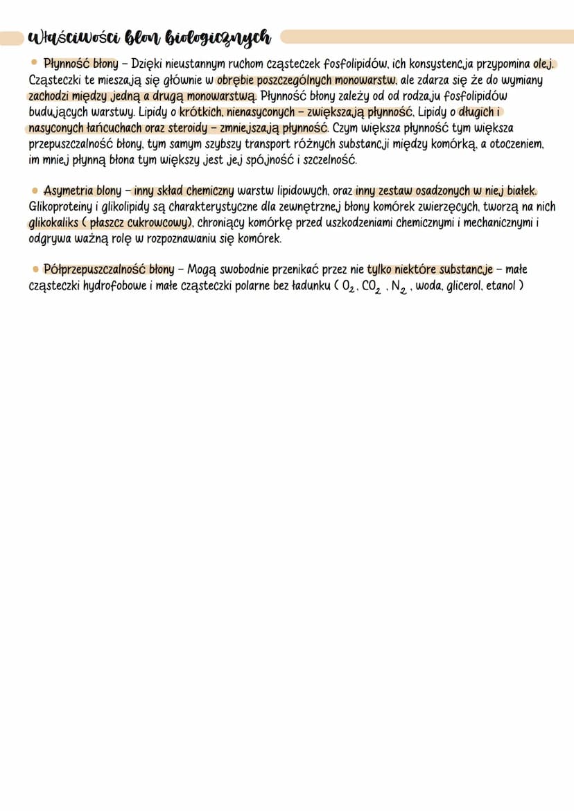 ●
Blony biologiczne
Funkcje blon biologicznych
Błony komórkowe - oddzielają wnętrze komórek od środowiska zewnętrznego.
Błony śródplazmatycz