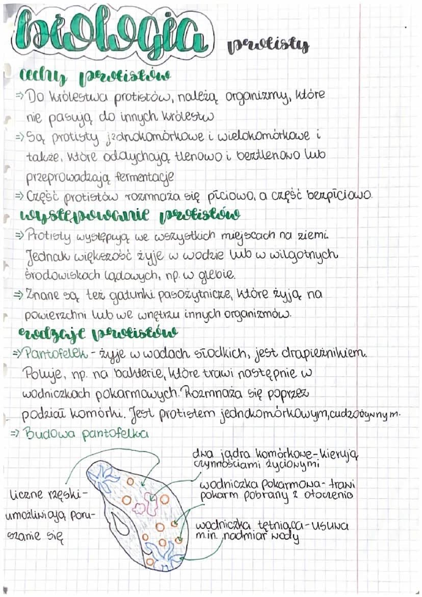 biologia
zerdania systematylzi
=> Systematyka ma za zadanie opisywać organizmy.
ustalać pokrewieństwa.
nadawać im
mlasyfimacja
nazwy,
=> Jed