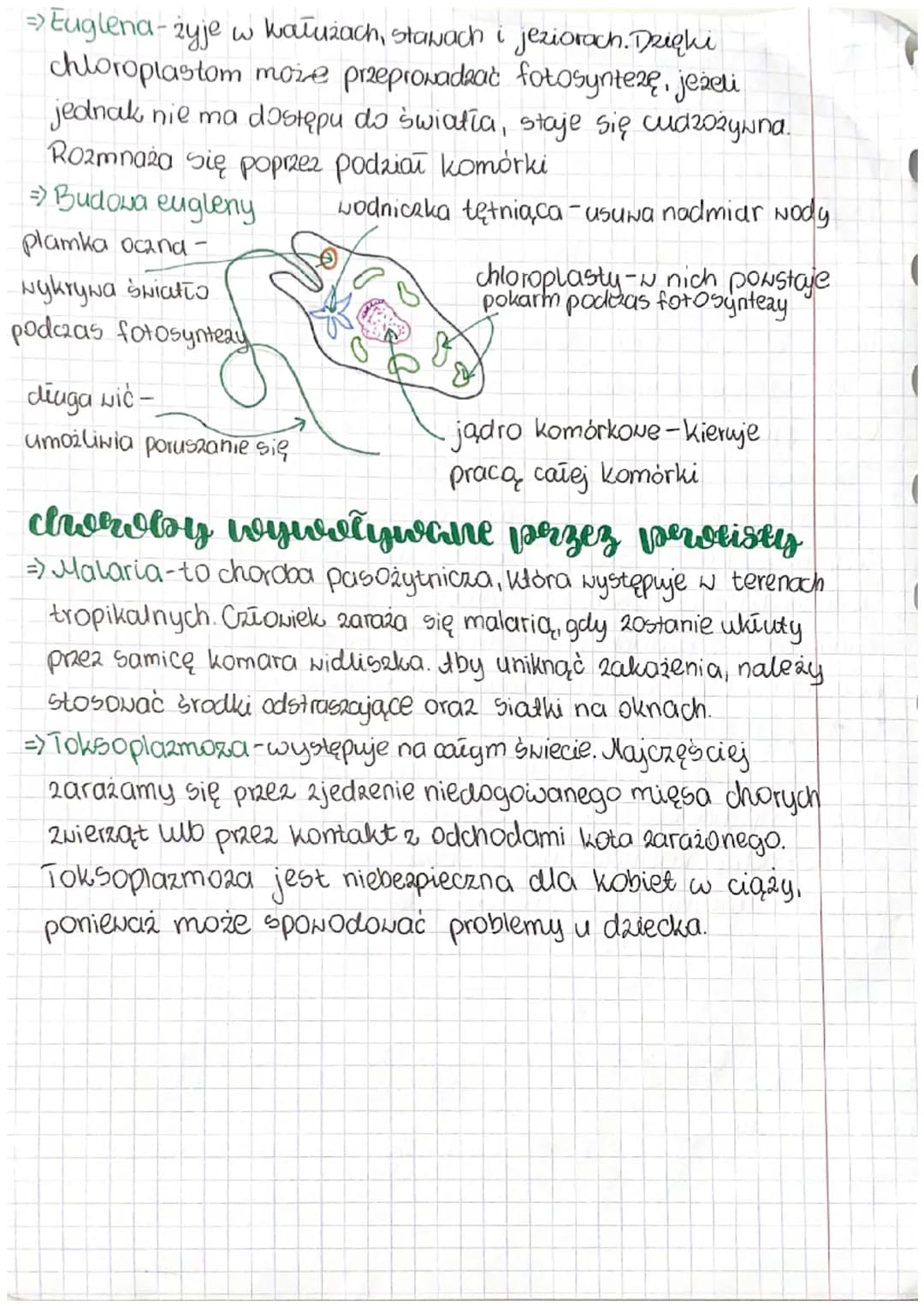 biologia
zerdania systematylzi
=> Systematyka ma za zadanie opisywać organizmy.
ustalać pokrewieństwa.
nadawać im
mlasyfimacja
nazwy,
=> Jed