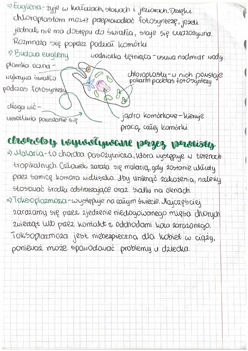 biologia
zerdania systematylzi
=> Systematyka ma za zadanie opisywać organizmy.
ustalać pokrewieństwa.
nadawać im
mlasyfimacja
nazwy,
=> Jed