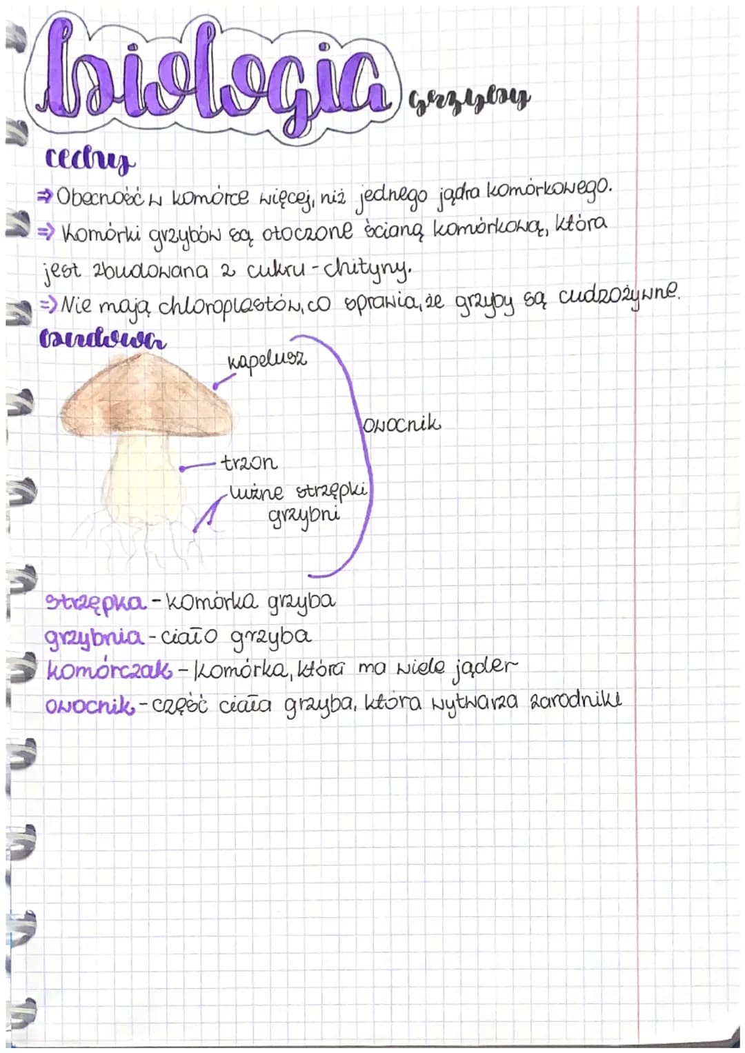 biologia
zerdania systematylzi
=> Systematyka ma za zadanie opisywać organizmy.
ustalać pokrewieństwa.
nadawać im
mlasyfimacja
nazwy,
=> Jed