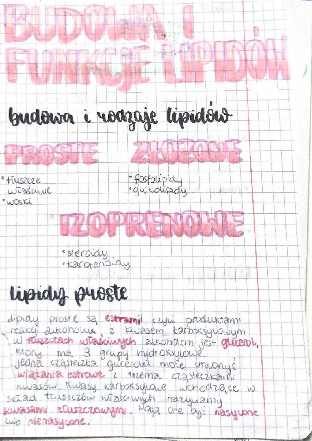 Rola i znaczenie lipidów w organizmie