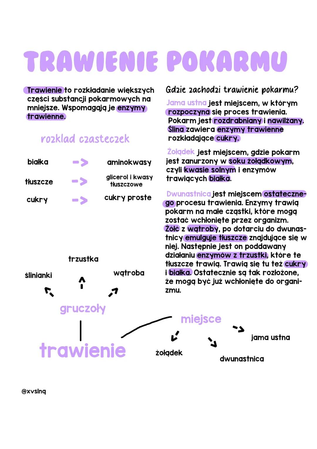 TRAWIENIE POKARMU
Trawienie to rozkładanie większych
części substancji pokarmowych na
mniejsze. Wspomagają je enzymy
trawienne.
rozklad czas