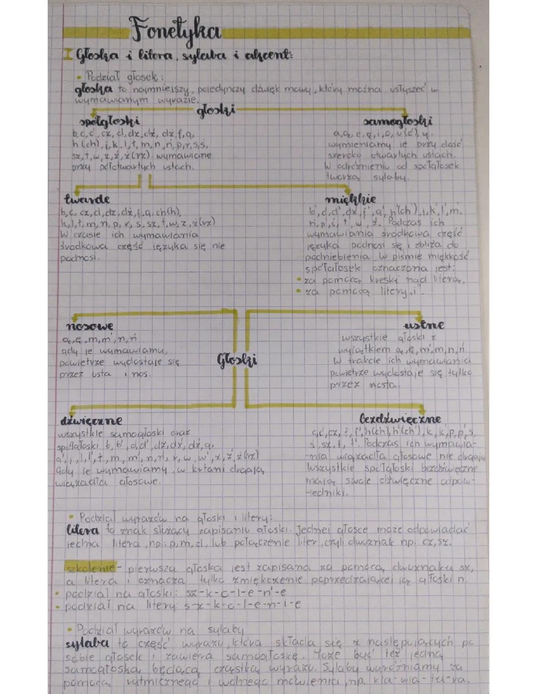 Fonetyka i Wymowa Języka Polskiego