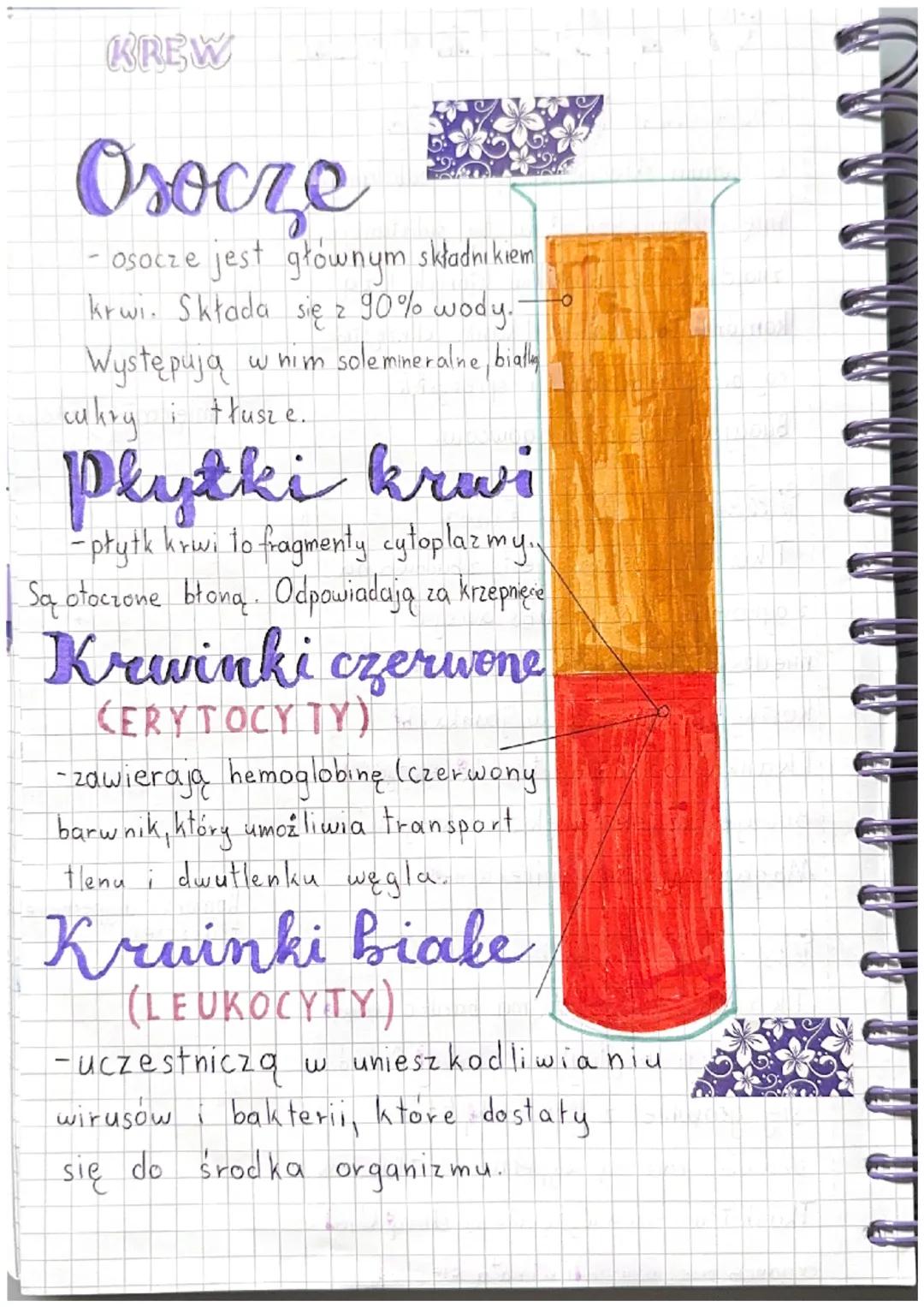 thanki łacene
TKANKA CHRZESTNA
Głównym składnikiem jest substancja
międzykomórkowa. W tej substancji jamki
znajdują się jamki
których leżą
k