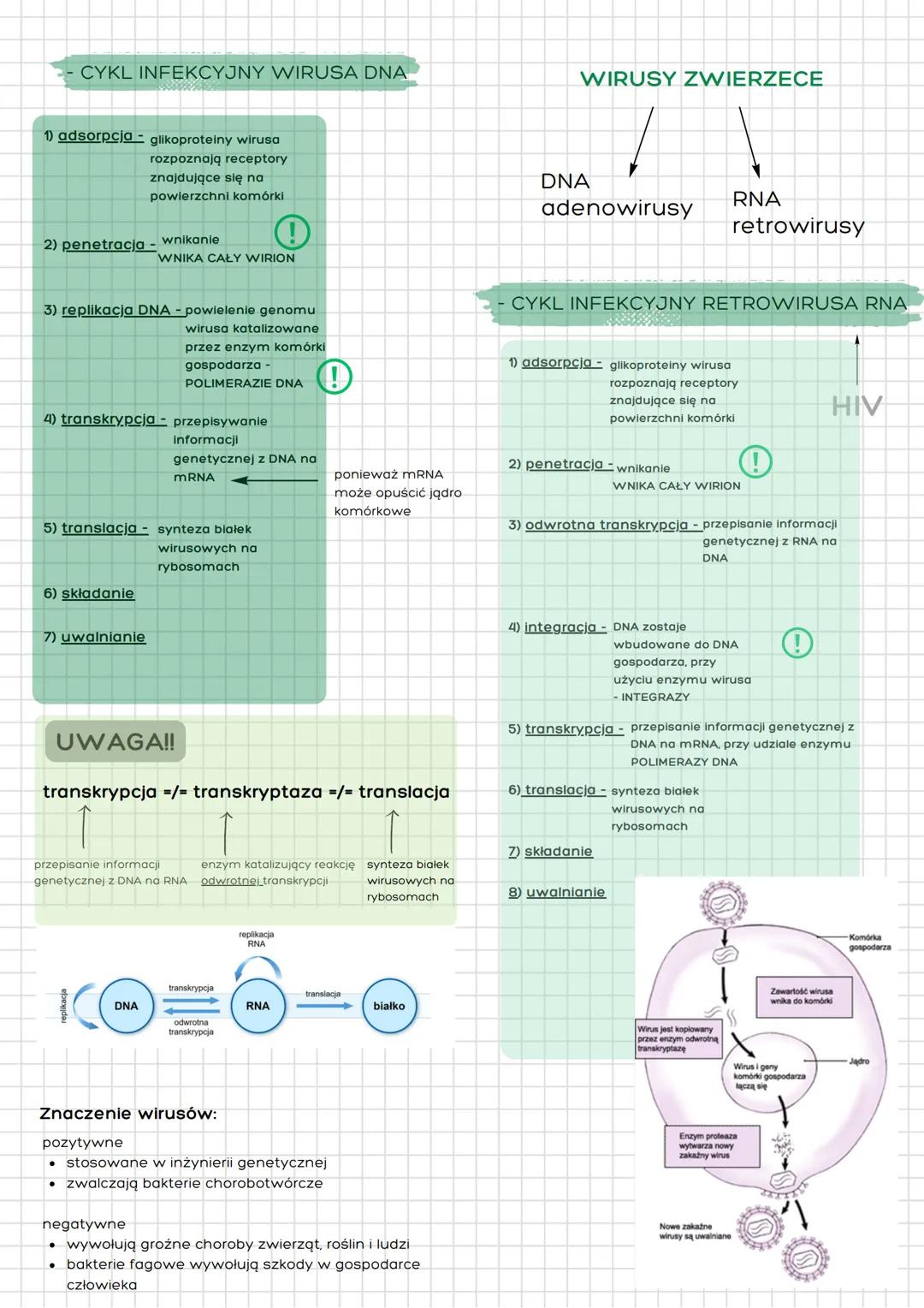# BEZKOMÓRKOWE
# CZYNNIKI ZAKAŹNE
BIOLOGIA - ROZSZERZENIE

# wirusy

**cechy wirusów:**

**jako materii nieożywionej**
- namnażają się
- wyk