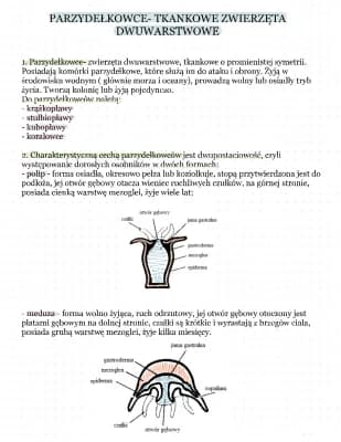 Know parzydełkowce thumbnail