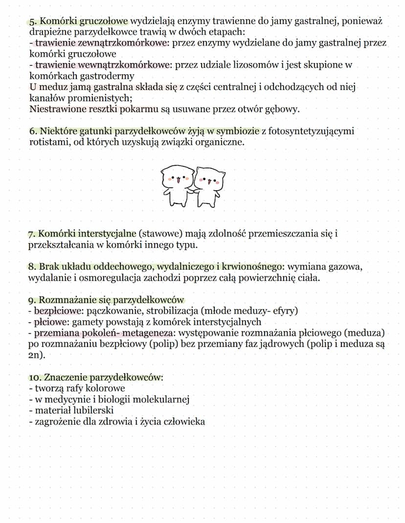 PARZYDEŁKOWCE- TKANKOWE ZWIERZĘTA
DWUWARSTWOWE
1. Parzydełkowce- zwierzęta dwuwarstwowe, tkankowe o promienistej symetrii.
Posiadają komórki