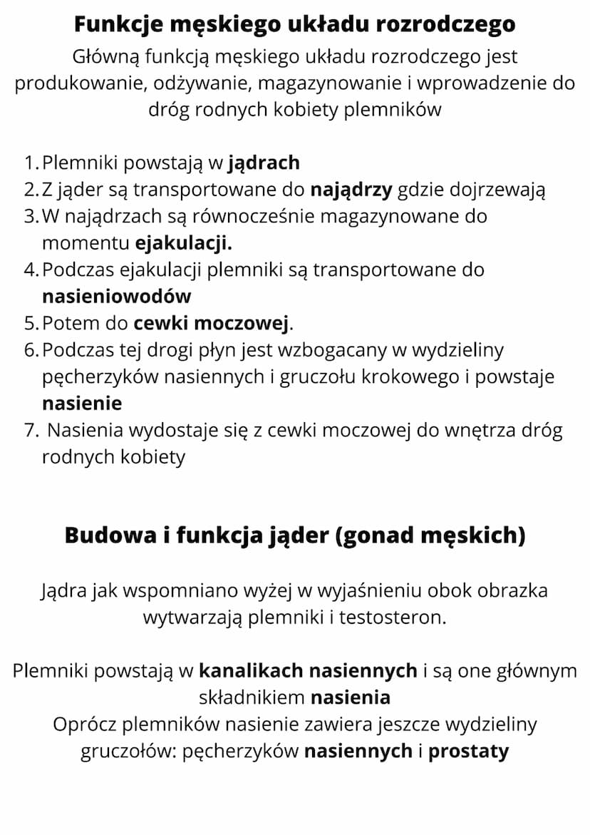 Budowa i funkcje męskich
narządów rozrodczych
Cechy płciowe
Cechy płciowe to cechy ciała, którymi mężczyźni i kobiety różnią
się od siebie. 