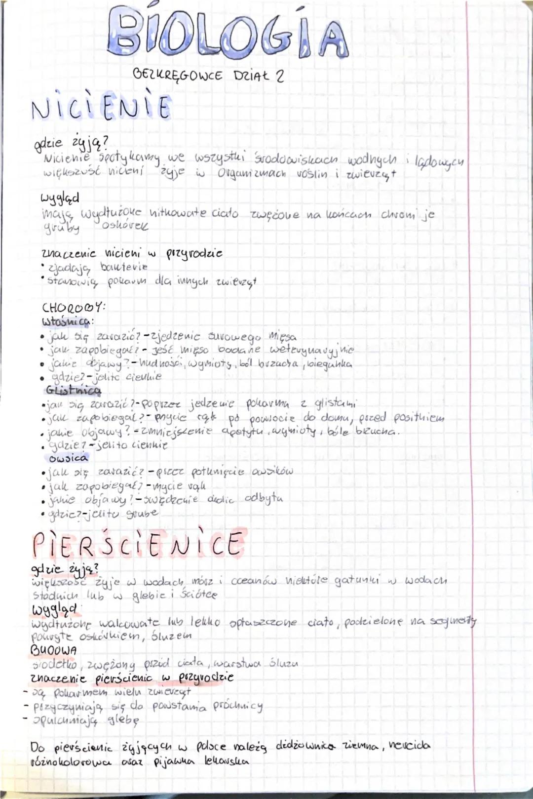 # BIOLOGIA
GEZKRĘGOWCE DZIAŁ 2

# NICIENIE

gdzie żyją?
Nicienie spotykamy we wszysthi środowiskach wodnych ladougou
większust niceni
Wygląd