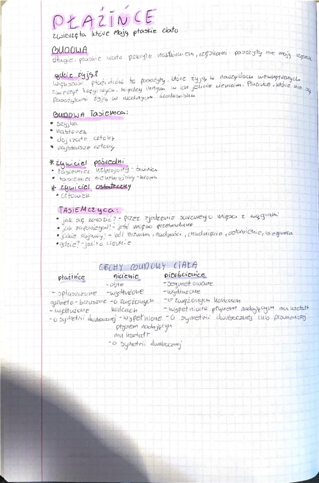 # BIOLOGIA
GEZKRĘGOWCE DZIAŁ 2

# NICIENIE

gdzie żyją?
Nicienie spotykamy we wszysthi środowiskach wodnych ladougou
większust niceni
Wygląd