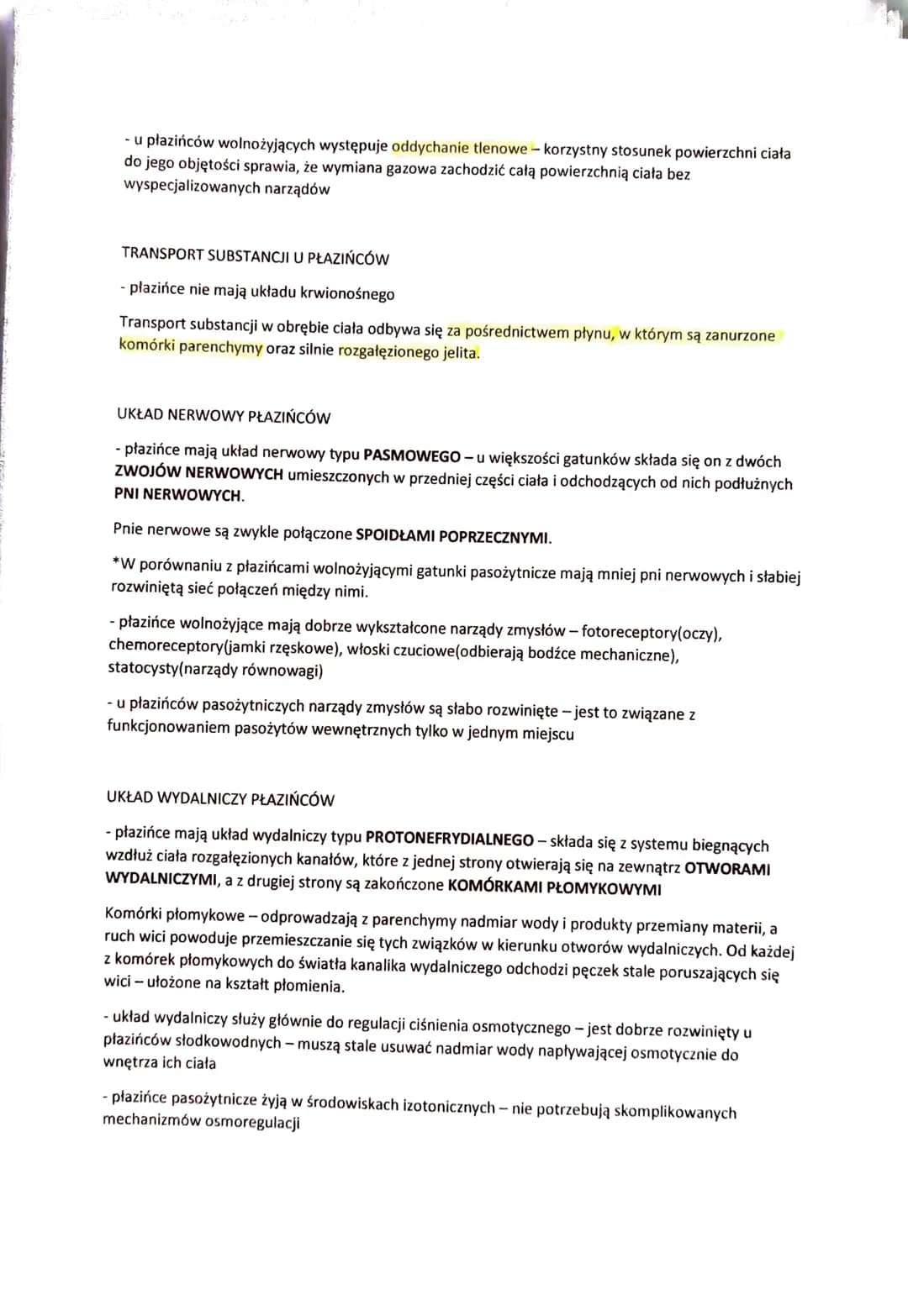 PŁAZIŃCE - ZWIERZĘTA SPŁASZCZONE GRZBIETO-BRZUSZNIE
Płazińce (robaki płaskie) - zwierzęta o wydłużonym, spłaszczonym grzbieto-brzusznie ciel