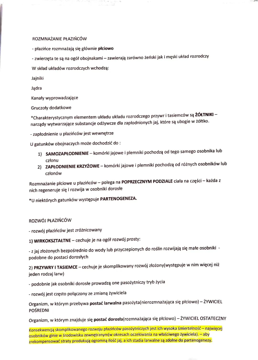 PŁAZIŃCE - ZWIERZĘTA SPŁASZCZONE GRZBIETO-BRZUSZNIE
Płazińce (robaki płaskie) - zwierzęta o wydłużonym, spłaszczonym grzbieto-brzusznie ciel