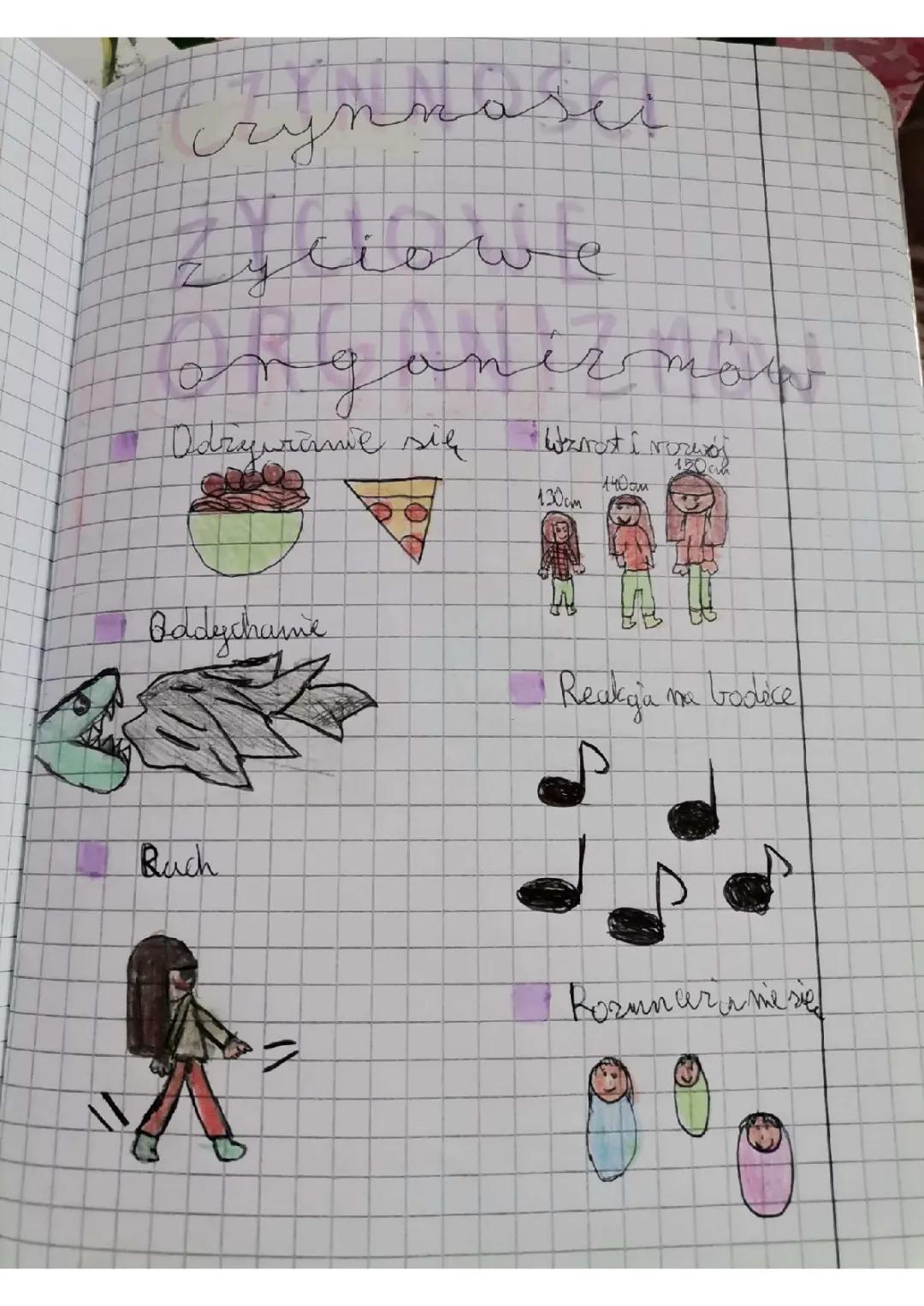 Czynności Życiowe Organizmów - Sprawdzian Klasa 5 i 4
