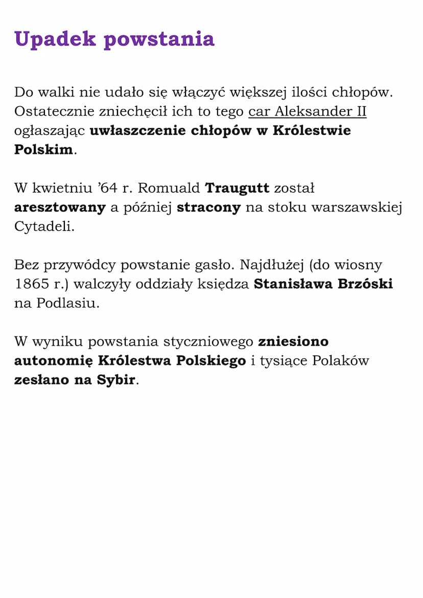 Ziemie polskie po Wiośnie
Ludów
1.Powstanie styczniowe
Ziemie polskie przed powstaniem
Zabór pruski
Hasło „praca organiczna" - uważano naród
