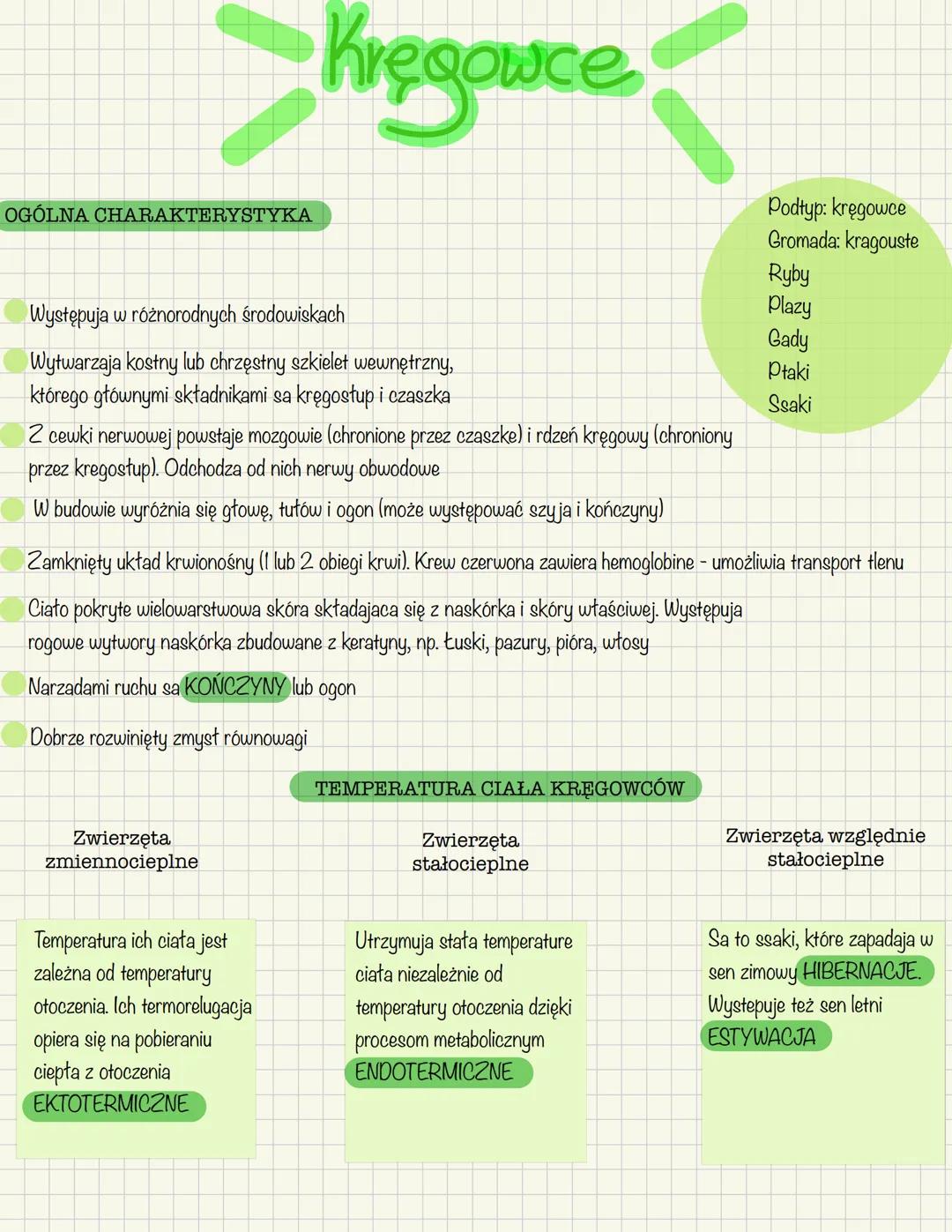 OGÓLNA CHARAKTERYSTYKA
Występuja w różnorodnych środowiskach
Wytwarzaja kostny lub chrzęstny szkielet wewnętrzny,
którego głównymi składnika