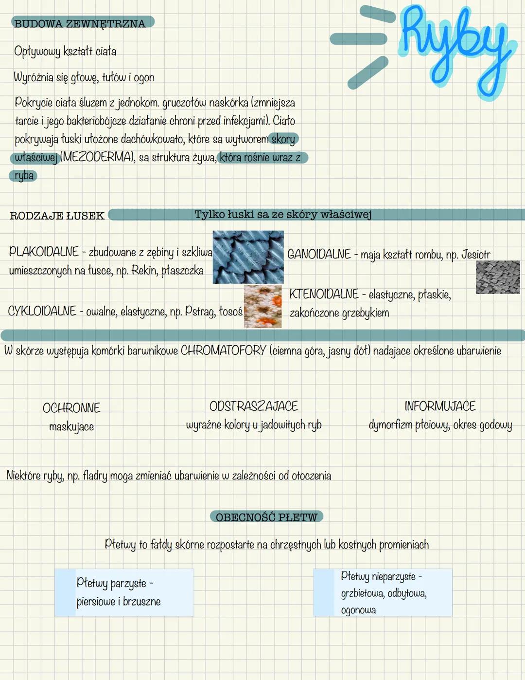 OGÓLNA CHARAKTERYSTYKA
Występuja w różnorodnych środowiskach
Wytwarzaja kostny lub chrzęstny szkielet wewnętrzny,
którego głównymi składnika