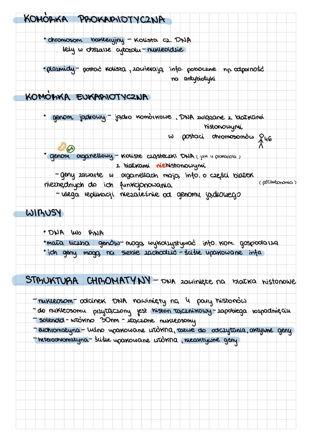 GENY I GENOMY
Gen- fragment cząsteczki DNA, zawiera into. dotyczące budowy
jednego białka | C2. PINA
STRUKTURA GENU
NIECIĄGŁE
-eukarionty
CI