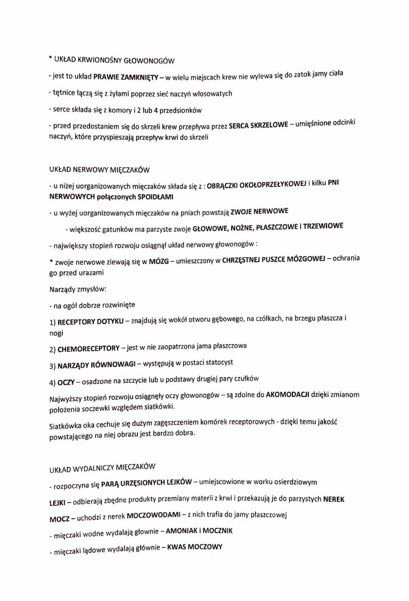 MIĘCZAKI-ZWIRZĘTA O MIĘKKIM, NIESEGMENTOWANYM CIELE
- żyją w morzach, oceanach, wodach słodkich i na lądzie (w miejscach z dużą wilgotnością