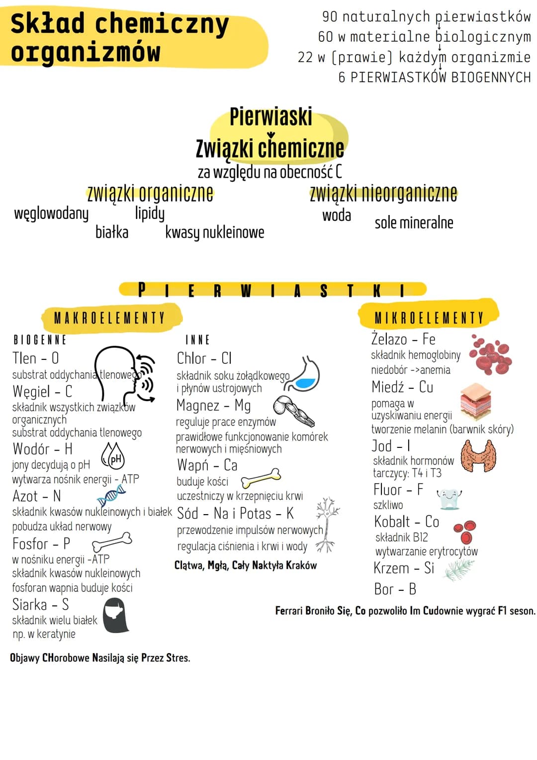 Skład chemiczny
organizmów
węglowodany lipidy
M A K R
związki organiczne
białka
BIOGENNE
Tlen - 0
substrat oddychania tlenowe
Węgiel - C
skł