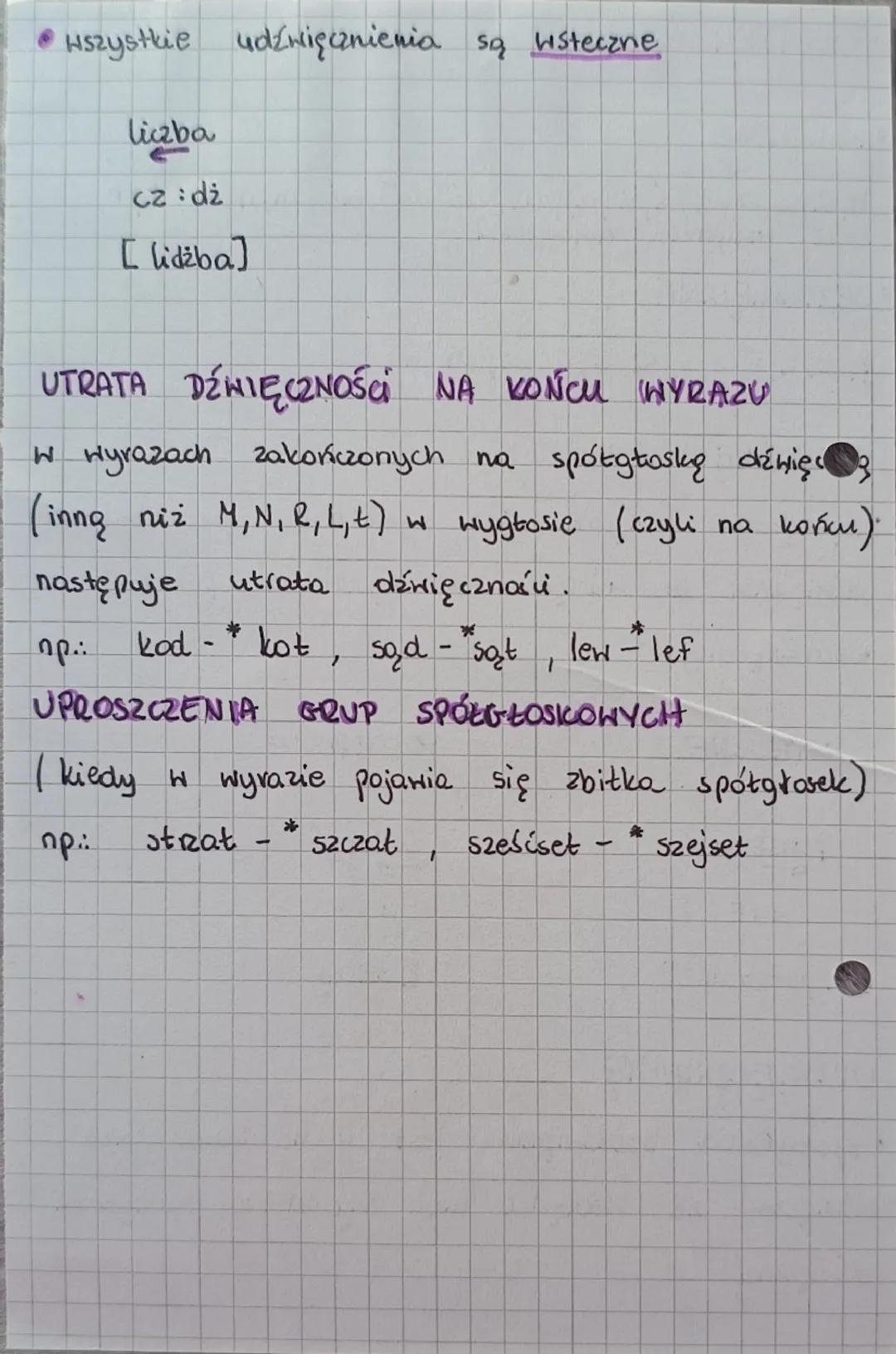 ~FONETYKA~

*   DŹWIĘCZNE

b,d,g,h,2,2,2(2), dz, dź (dzi), dż, m, n, L, tir,j
oraz wszystkie samogłoski

*   BEZDŹWIĘCZNE

P, t, k, f, s,Ś, 