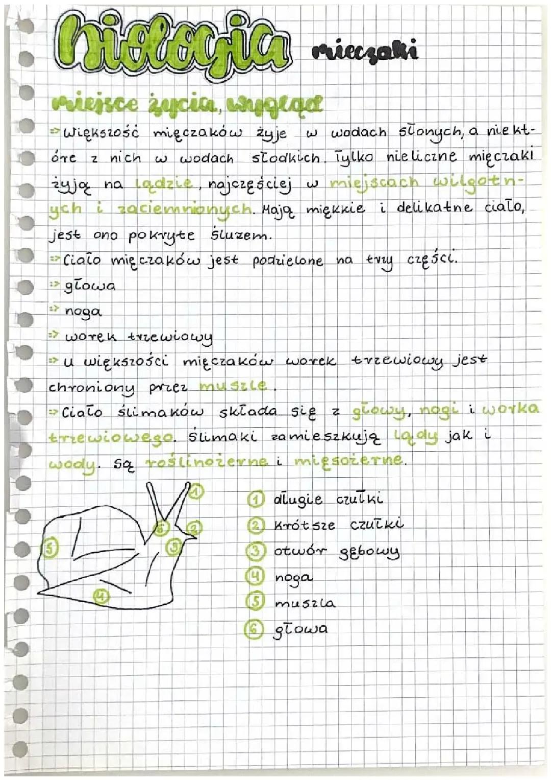 Mięczaki - Biologia puls życia 6
