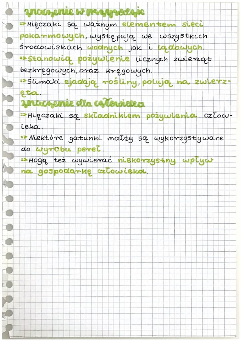 historia ricczaki
miejsce życia, wyglad
→ Większość mięczaków żyje w wodach słonych, a nie kt-
óre z nich w wodach słodkich. Tylko nieliczne