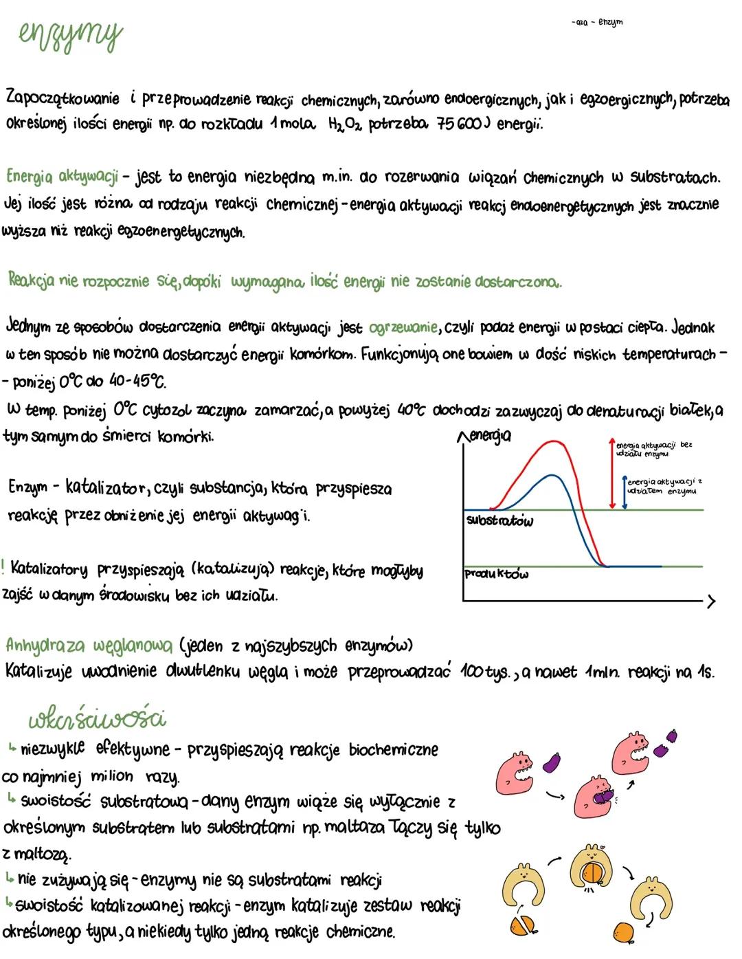 Enzymy i regulacja aktywności enzymów