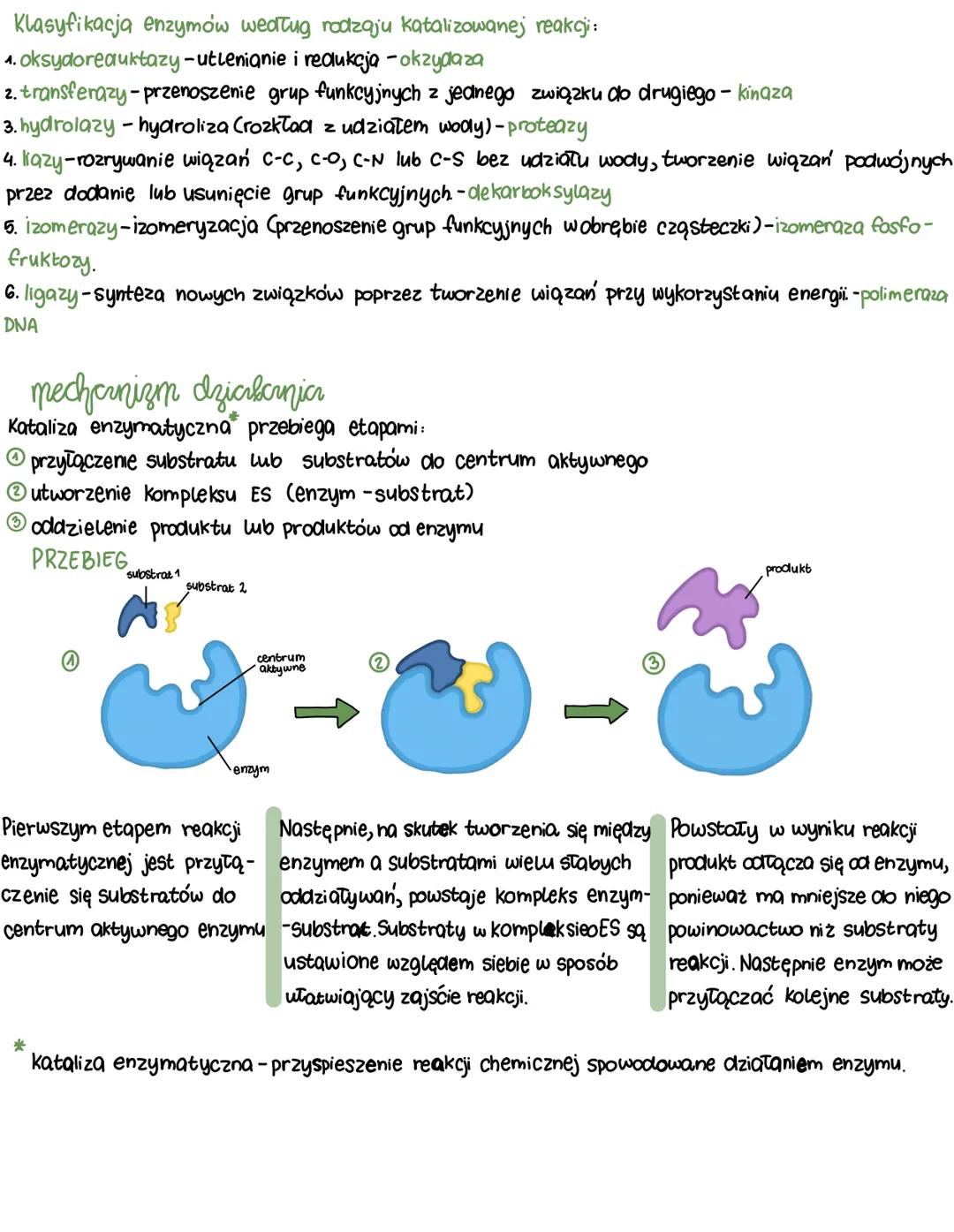 enzymy
Zapoczątkowanie i przeprowadzenie reakcji chemicznych, zarówno endoergicznych, jak i egzoergicznych, potrzeba
Określonej ilości energ