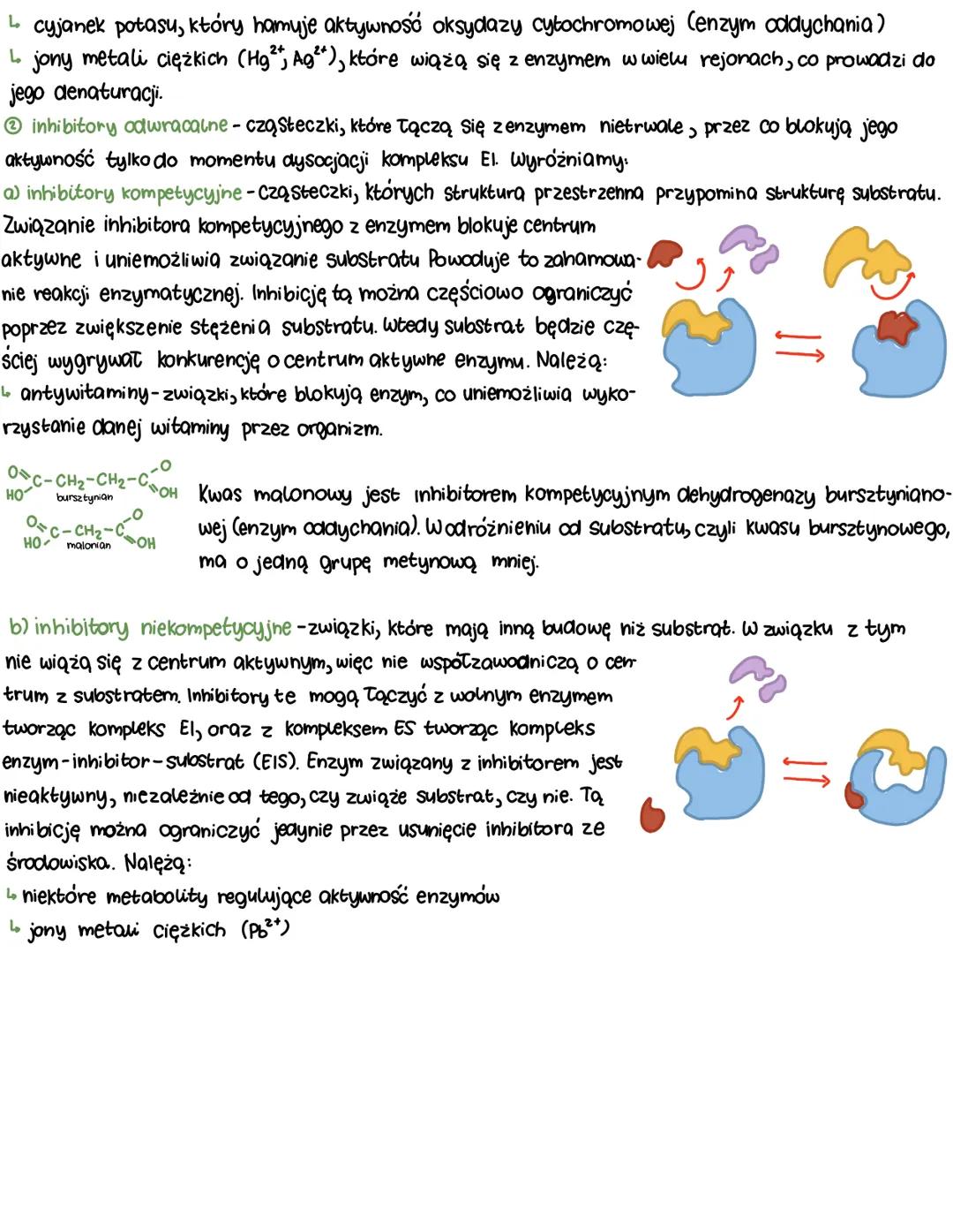 enzymy
Zapoczątkowanie i przeprowadzenie reakcji chemicznych, zarówno endoergicznych, jak i egzoergicznych, potrzeba
Określonej ilości energ