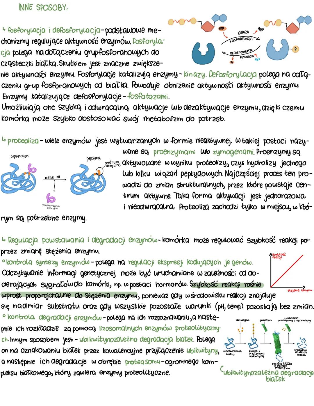 enzymy
Zapoczątkowanie i przeprowadzenie reakcji chemicznych, zarówno endoergicznych, jak i egzoergicznych, potrzeba
Określonej ilości energ