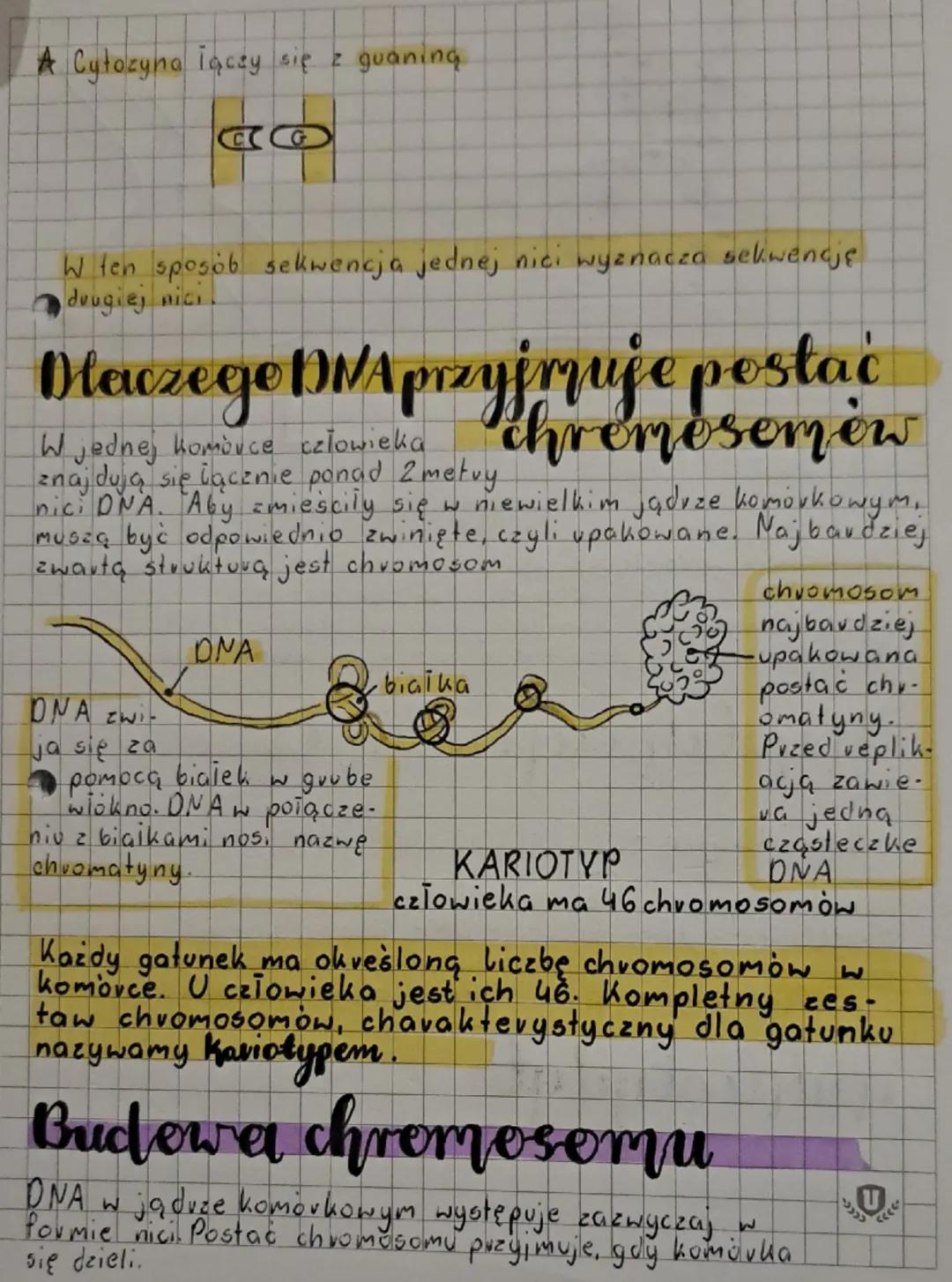 Bielogia
/ 25.09.25
DATE

genetyka -nauką zajmująca się dziedziczeniem
cech i zmiennością organizmów

cechy daiedziczne

cechy, które odzied