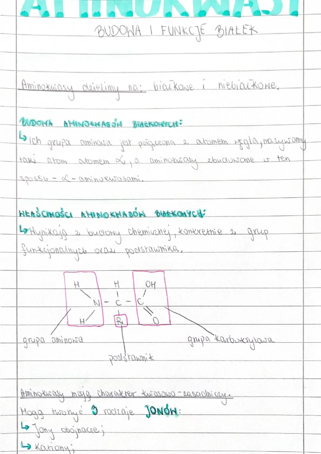 Aminokurasy dzielimy na: białkowe i niebiaukowe.
BUDOWA I FUNKCJE BIALER
BUDOWA AMINORWASON BIAŁKOWYCH:
↳ Ich grupa aminosa jest połgiecona 