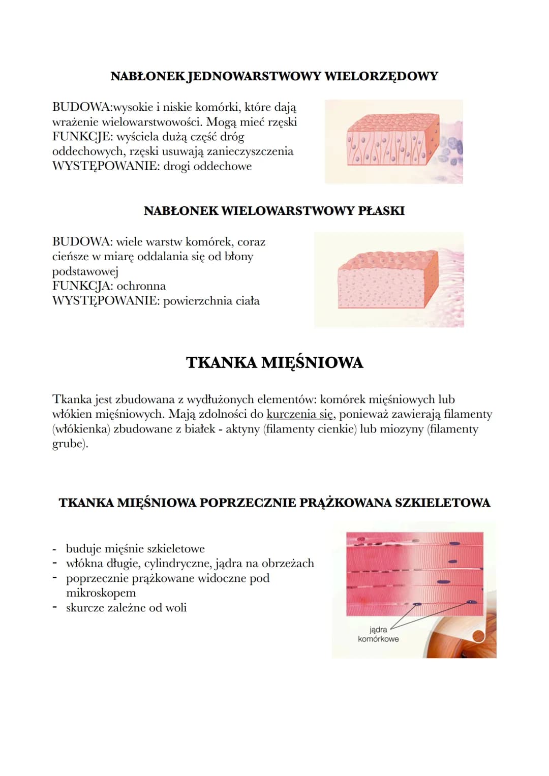 Rodzaje i Funkcje Tkanek: Nabłonkowa, Mięśniowa i Nerwowa
